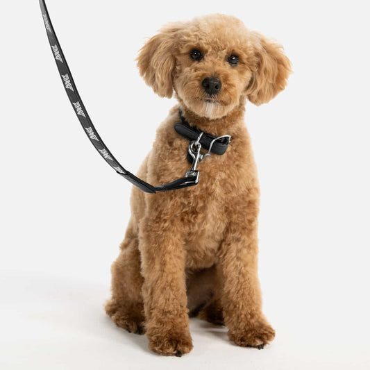 Eco Leather Pet Leash - PXG